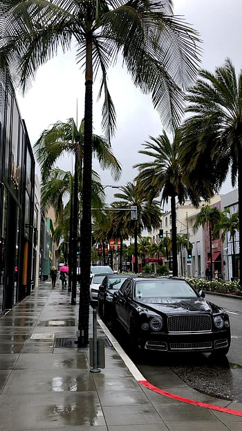 Beverly Hills, Beverly Hills, Immersive guide, Ideas for every day HD phone wallpaper