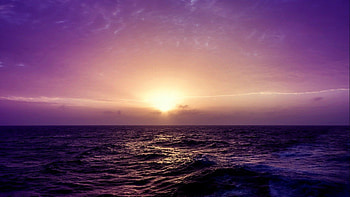 Pink Sunset Sea, pink, sunset, sea, nature HD wallpaper