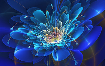 Celestial flower, Computer, Graphics, Neon, Petals HD wallpaper