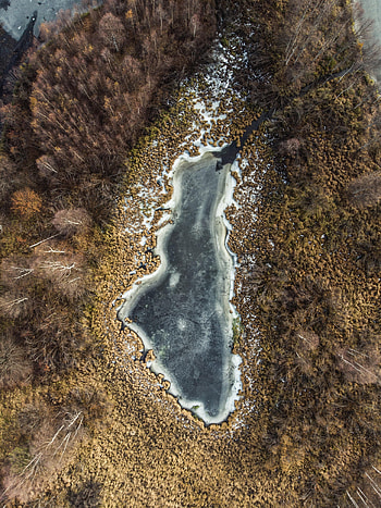 Nature, View From Above, Lake, Forest HD phone wallpaper