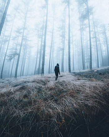 Nature, Miscellanea, Miscellaneous, Forest, Fog, Human, Person, Loneliness HD phone wallpaper
