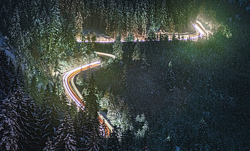 Road, truns, trees, Romania HD wallpaper