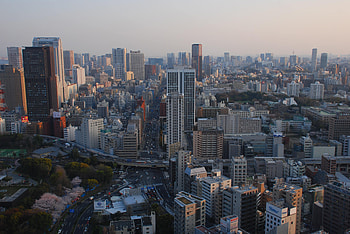 Cities, City, Building, Road, Skyscrapers, Roof, Roofs HD wallpaper