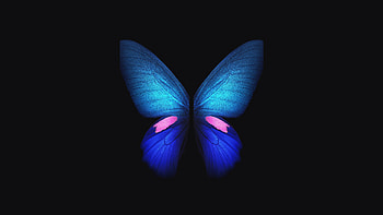 Samsung Galaxy Fold Blue Butterfly HD wallpaper