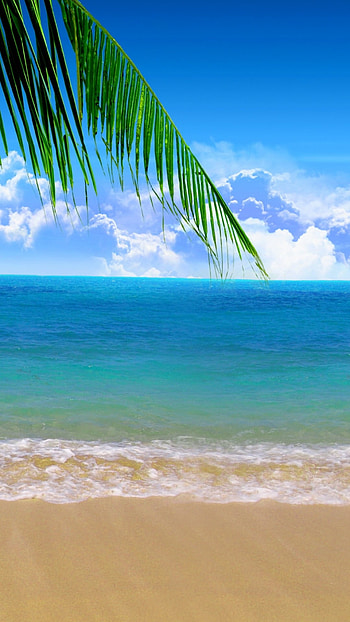 Beach Background, Sea, Beach HD phone wallpaper