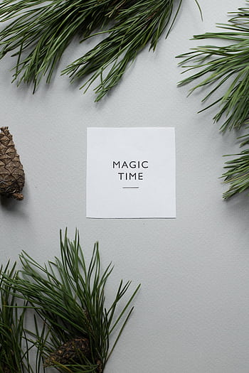 A festive greeting card with pine branches and cones on a gray background. HD phone wallpaper