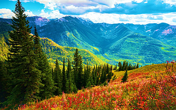 Fall in the Swan Mountains, Montana, sky, landscape, clouds, trees, autumn, usa HD wallpaper
