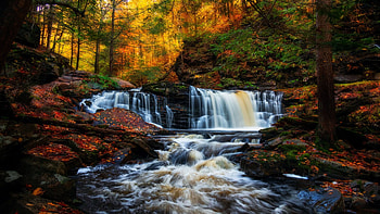 Cayuga Falls. Ricketts Glen State Park, Pennsylvania, river, fall, autumn, trees, colors, cascade, forest, usa HD wallpaper