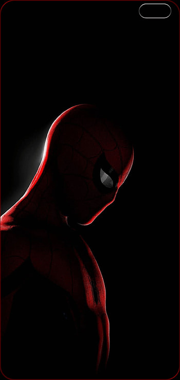 Dual Punch Hole, Left Dual Punch Hole HD phone wallpaper
