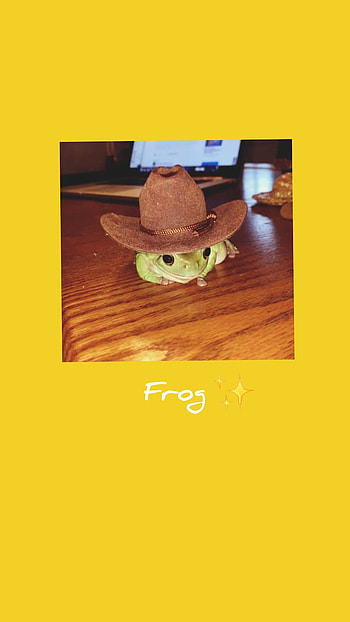 Cowboy Frog, Ranita, glasses, Amarillo, cap, Rana, Yellow, Froggy, Green, Verde HD phone wallpaper