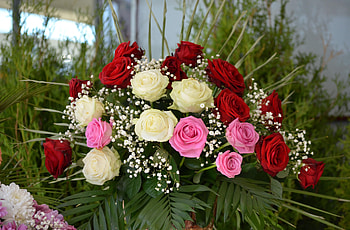 Flowers, Roses, Typography, Registration, Beauty, Bouquet, Gypsophilus, Gipsophile HD wallpaper