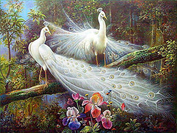 White peacocks, white, art, bird, painting, paun, pictura, couple, peacock HD wallpaper