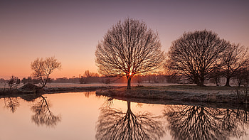 Light Dawn, light, trees, river, nature HD wallpaper