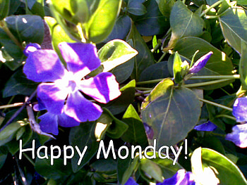 Happy Monday, blue, card, happy, monday HD wallpaper