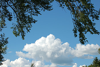 Landscape, Nature, Sky, Wood, Tree, Cloudy HD wallpaper