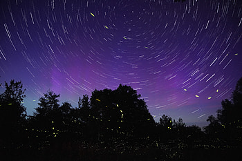 Starry sky, night, blur, silhouette, star trails HD wallpaper