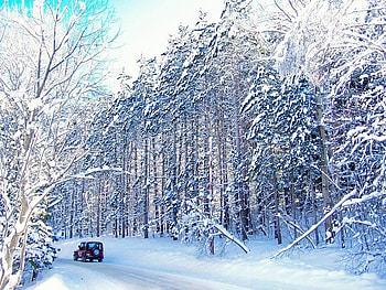 Jeep Going Down the Road, winter, trees, jeep, snow HD wallpaper