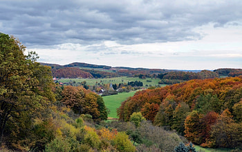 Landscape, Trees, Autumn HD wallpaper