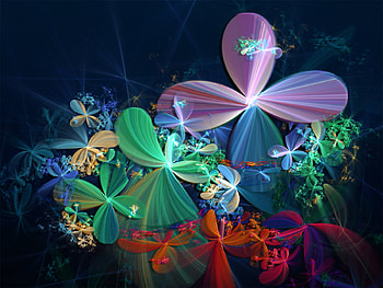 Tribute To Spring, flowers, black HD wallpaper