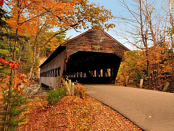 Albany Covered Bridge, bridge, trees, autumn, covered HD wallpaper