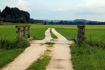 Tranquil rural path traverses lush green fields. A perfect nature escape. HD wallpaper