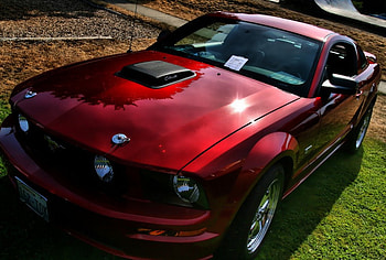 Ford Mustang, tuning, ford, mustang, car HD wallpaper