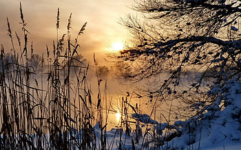 Watching the sunrise, whinter, nature, lacke, sunrise HD wallpaper
