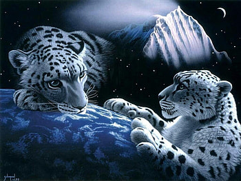 moonlighting, move over make room for me, where can i sleep HD wallpaper