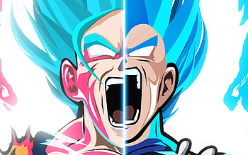 Vegeta (Dragon Ball), Goku, Anime, Super Saiyan Blue, Dragon Ball HD wallpaper