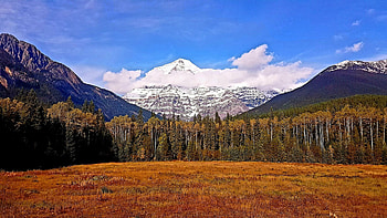 Mount Robson, British Columbia, clouds, landscape, trees, sky, forest, canada HD wallpaper