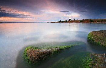 Coast Foros, sea, moss, bulgaria, sky, rocks HD wallpaper