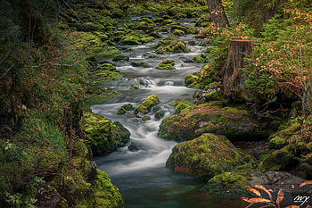 River, moss, grass, nature, water, stream HD wallpaper