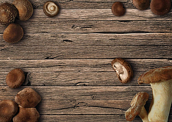 Shiitake gerichte, Pilzhof piesker, Shiitake, Gerichte HD wallpaper