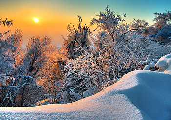 beautiful sunset, winter, snow, nature, forest, sunset HD wallpaper