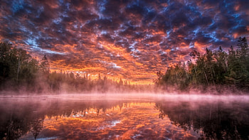 Amazing Clouds, sea, sky, cloud, tree HD wallpaper