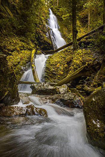 Nature, Water, Trees, Rock, Waterfall, Flow, Stream HD phone wallpaper