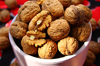 Walnuts, Pest control, Expert insights, Fruit growers supply HD wallpaper