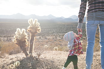 A mother and child holding hands while walking in a sunlit desert field with cacti. HD wallpaper