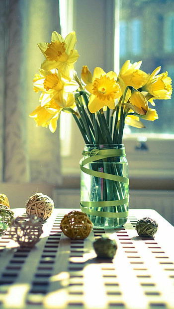 Daffodils, Flower Bouquet HD phone wallpaper
