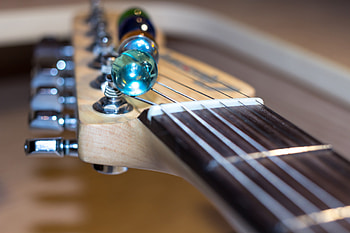 Music, Vulture, Strings, Electric Guitar HD wallpaper