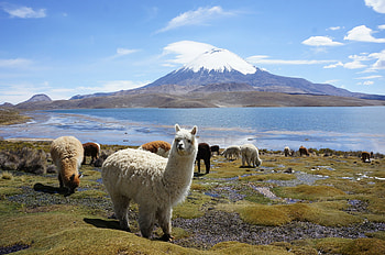 Backpacking Bolivia, Travel guide, Best things to do, Bolivia HD wallpaper