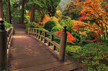 Park scenery, Natural splendor, Mesmerizing beauty, Tranquil escape HD wallpaper