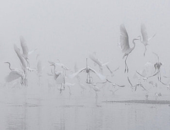 Hidden, dom, white, angels, lake HD wallpaper