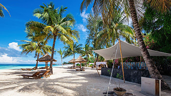Zanzibar Travels, Package safaris, Thrilling adventures, African exploration HD wallpaper