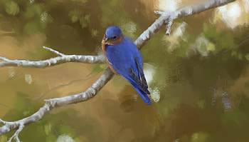 Blue bird, blue, natalie, art, bird, pasari HD wallpaper