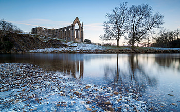 Bolton Abey in England, UK, winter, trees, lake, ruins HD wallpaper
