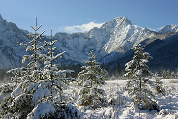 gruenau im almtal, winter, white, mountains, snow HD wallpaper