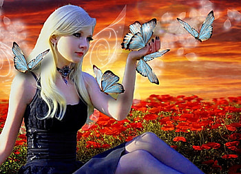 Butterfly Summer, summer, flowers, butterfly, beauty HD wallpaper