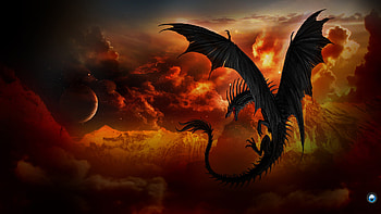 Lovely Dragon HD wallpaper