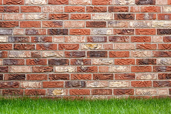A textured red brick wall with fresh green grass at the base, ideal for backgrounds. HD wallpaper